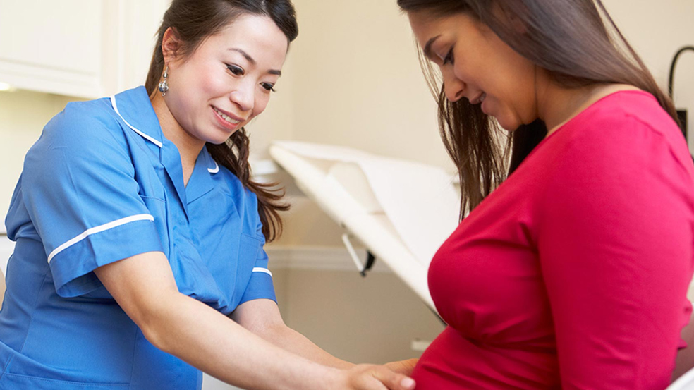 How does your baby develop in the First Trimester?