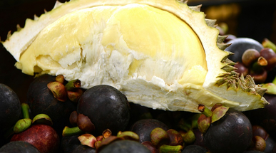 Durian_and_Mangosteen_shutterstock_309073628.jpg