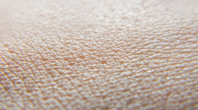 iStock-skin.jpg