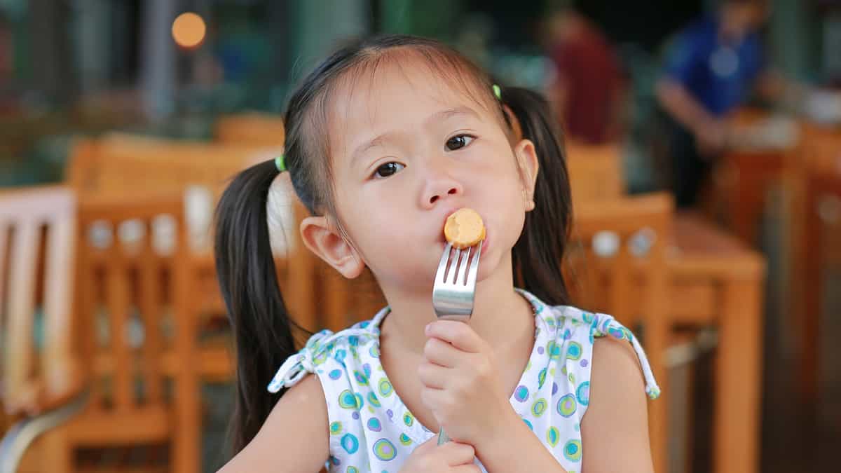 Yr6_Cover-872264034.jpg