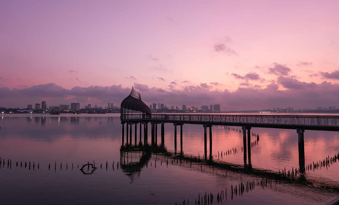 The Sungei Buloh Wetland Reserve is one place that offers free family activities in Singapore.
