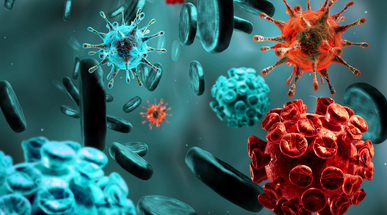 HPB-9_When exposed to infections.jpg