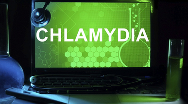 chlamydia.jpg