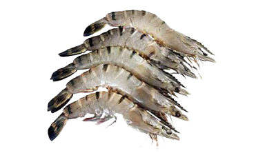 5 medium prawns (90g)