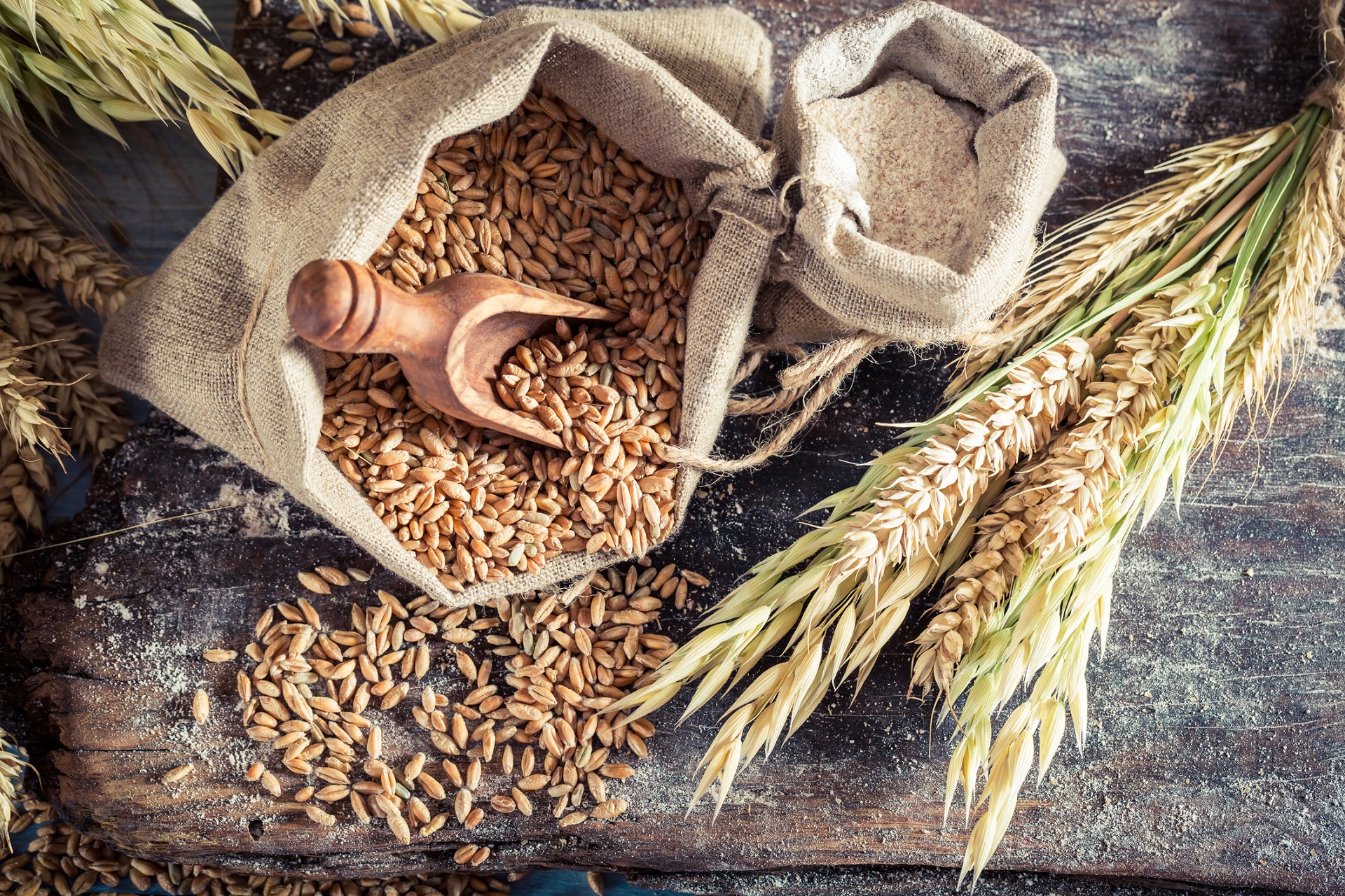 grain nutrients.jpg