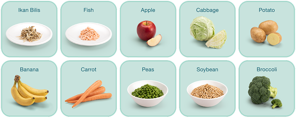 Examples of your baby’s first solid foods