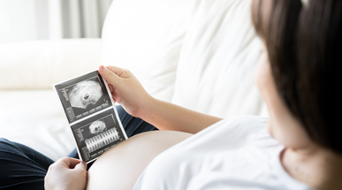 HPB-12_What happens in the second trimester.jpg