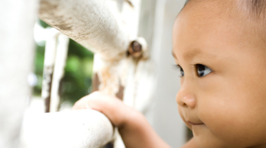 HPB Baby - Ch19-Keeping Your Child Safe.jpg